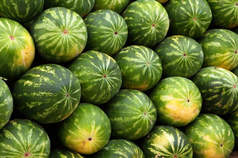 Rahasia Panjang Umur Sehat dengan Memilih Makanan Alami